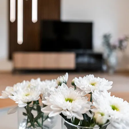 Stilvoll Wohnen Im Beliebten Kreuzviertel *