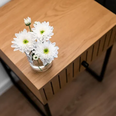 Stilvoll Wohnen Im Beliebten Kreuzviertel Münster